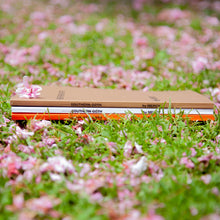 Load image into Gallery viewer, Southern Goth by Mercy